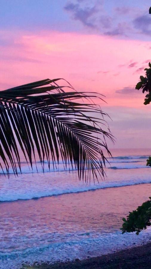 فندق Laola Surf Camp El Sunzal لا ليبرتاد المظهر الخارجي الصورة